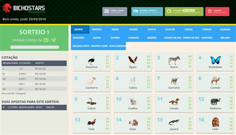 site aposta jogo do bicho corujão online